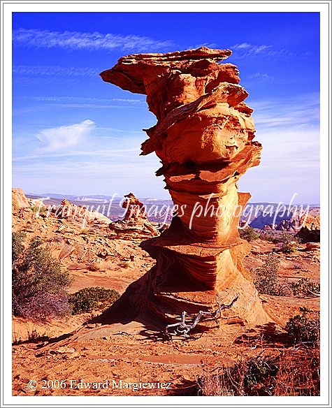 450119   Unusual rock formations populate the South Coyote Buttes wilderness 